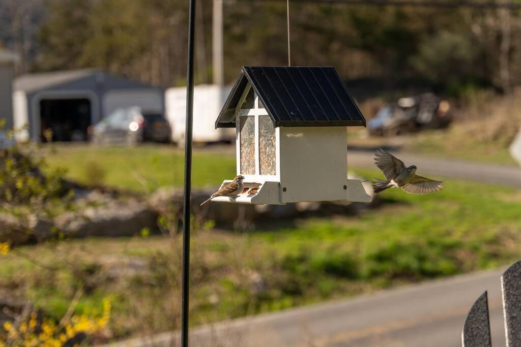 Cozy Cottage, Hot Tub, Fire Pit, 15Min To Hudson And Hiking Catskill Buitenkant foto